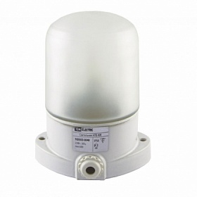 Светильник НПБ 400 для сауны настенно-потолочный белый IP54 60Вт TDM